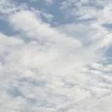 瑞丫頭