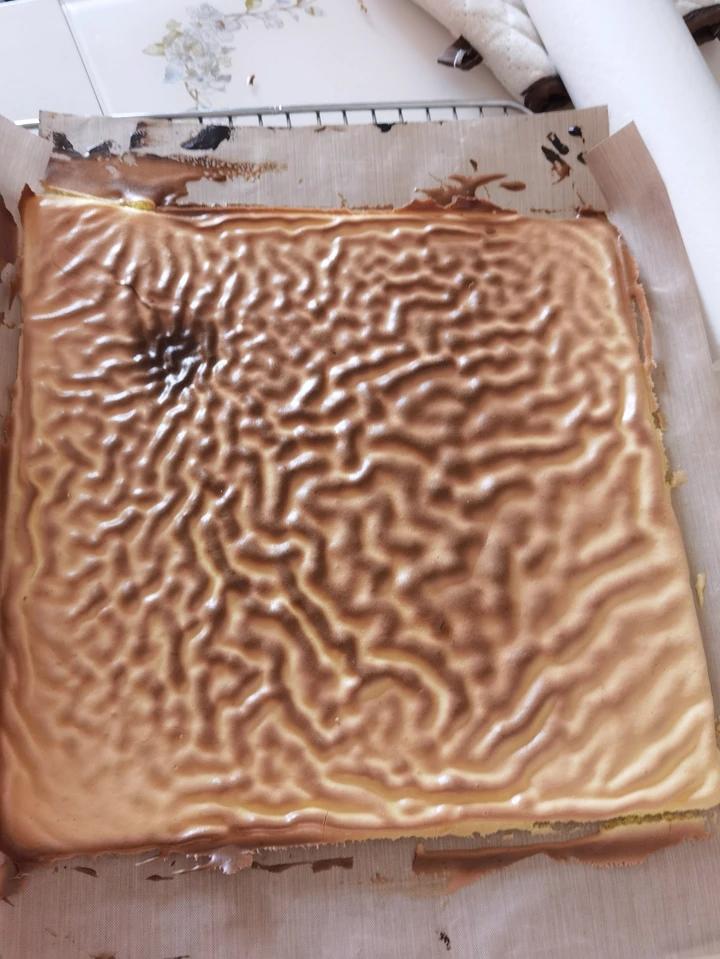 《Tinrry+》保姆级手把手教学！经典虎皮蛋糕卷