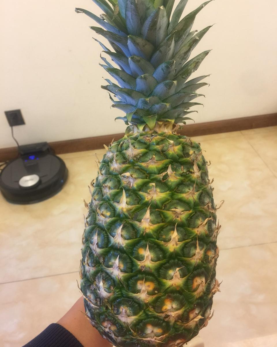 凤梨酥