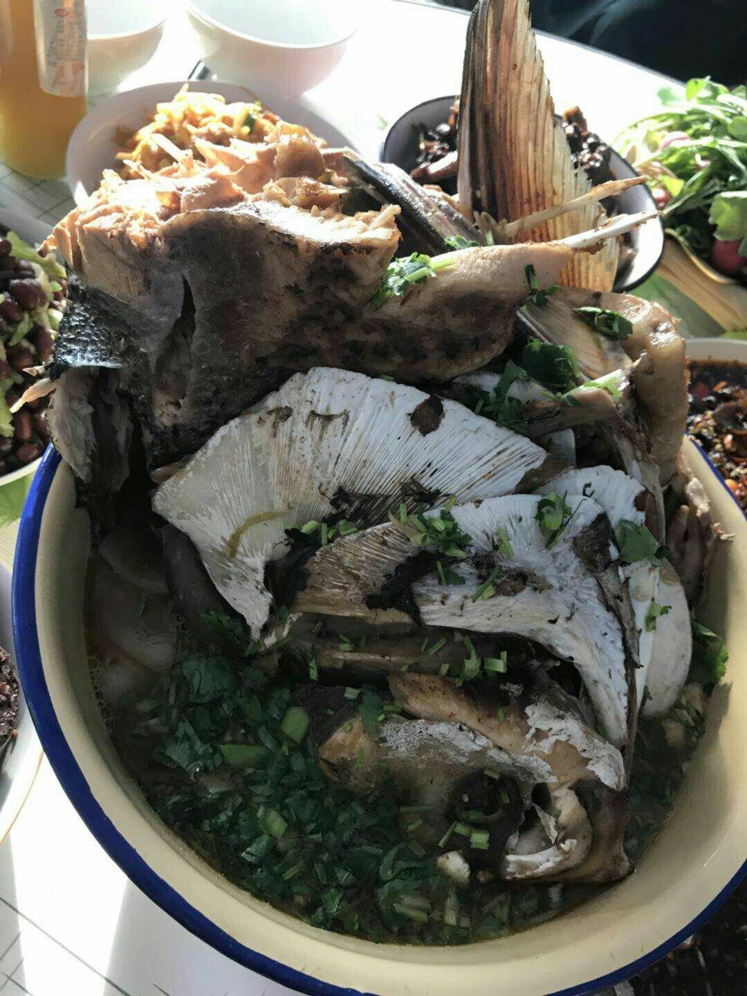 红烧鱼头