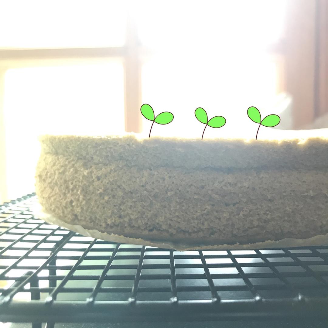 六寸抹茶戚风蛋糕
