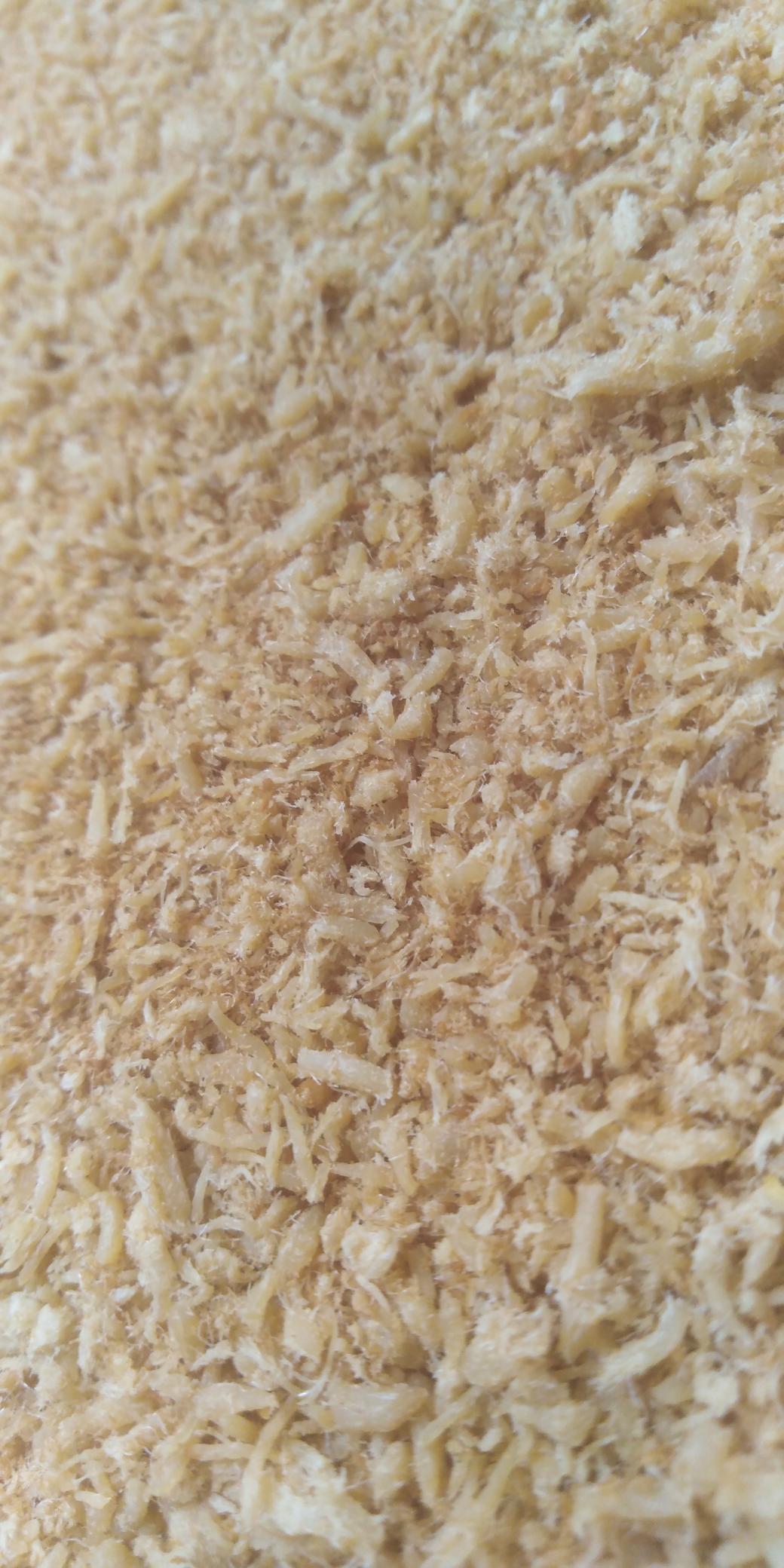 美味肉松的做法