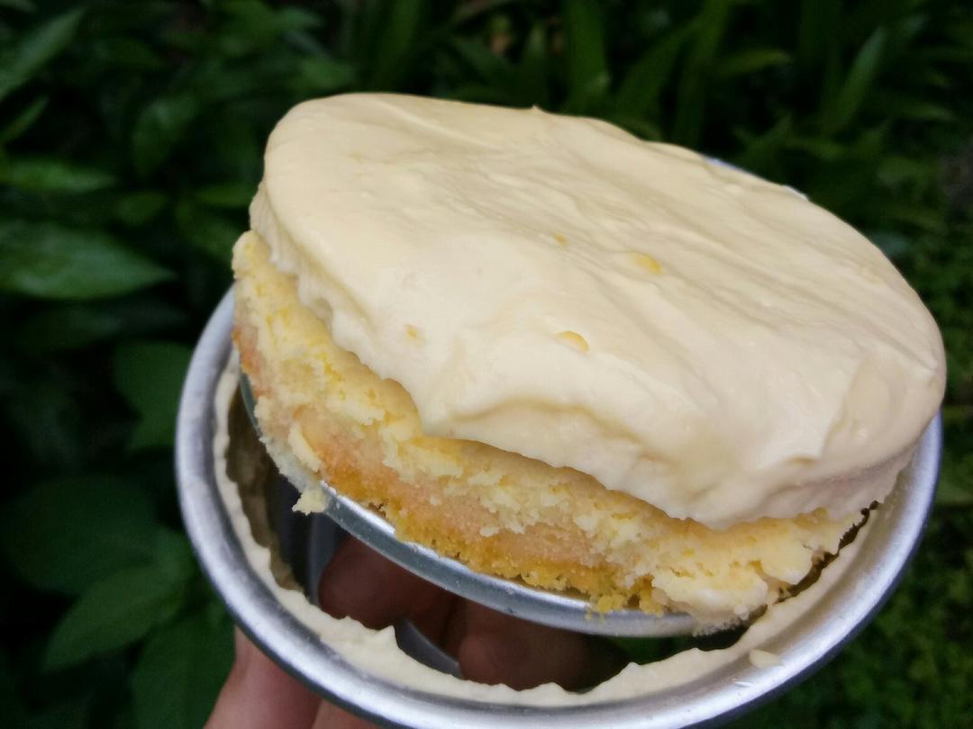 <LeTao>双层芝士蛋糕配方大公开！！