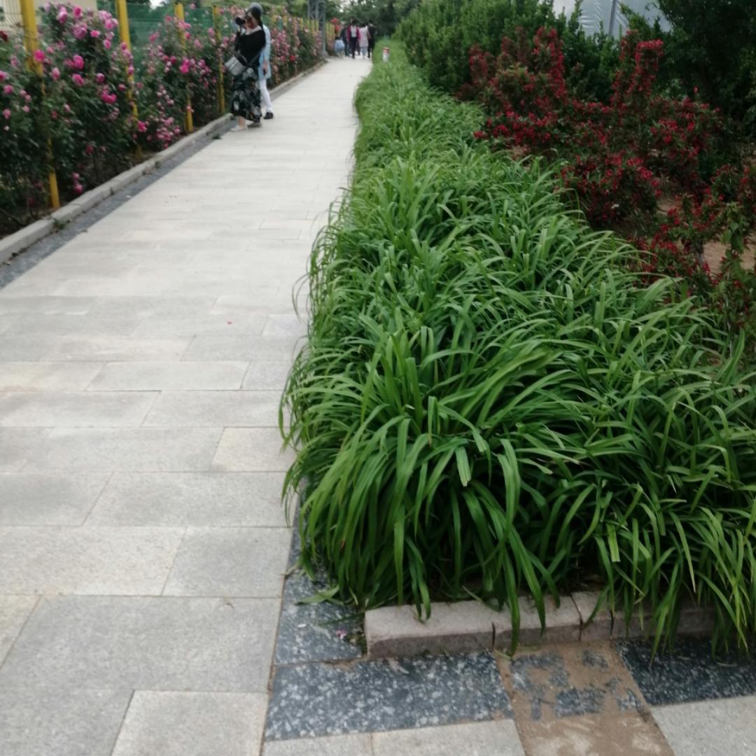 爱上烘焙这个坑