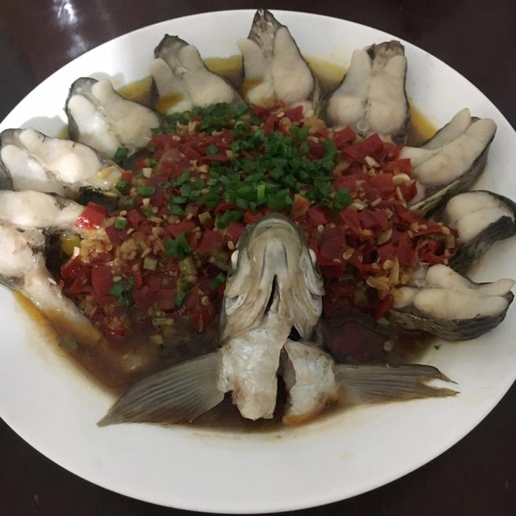 孔雀开屏鱼