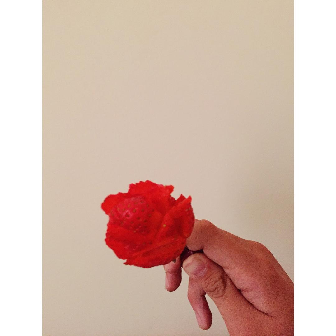 草莓玫瑰花