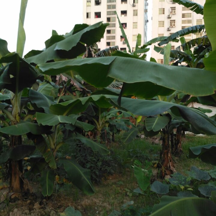 手机用户9268_0k6v