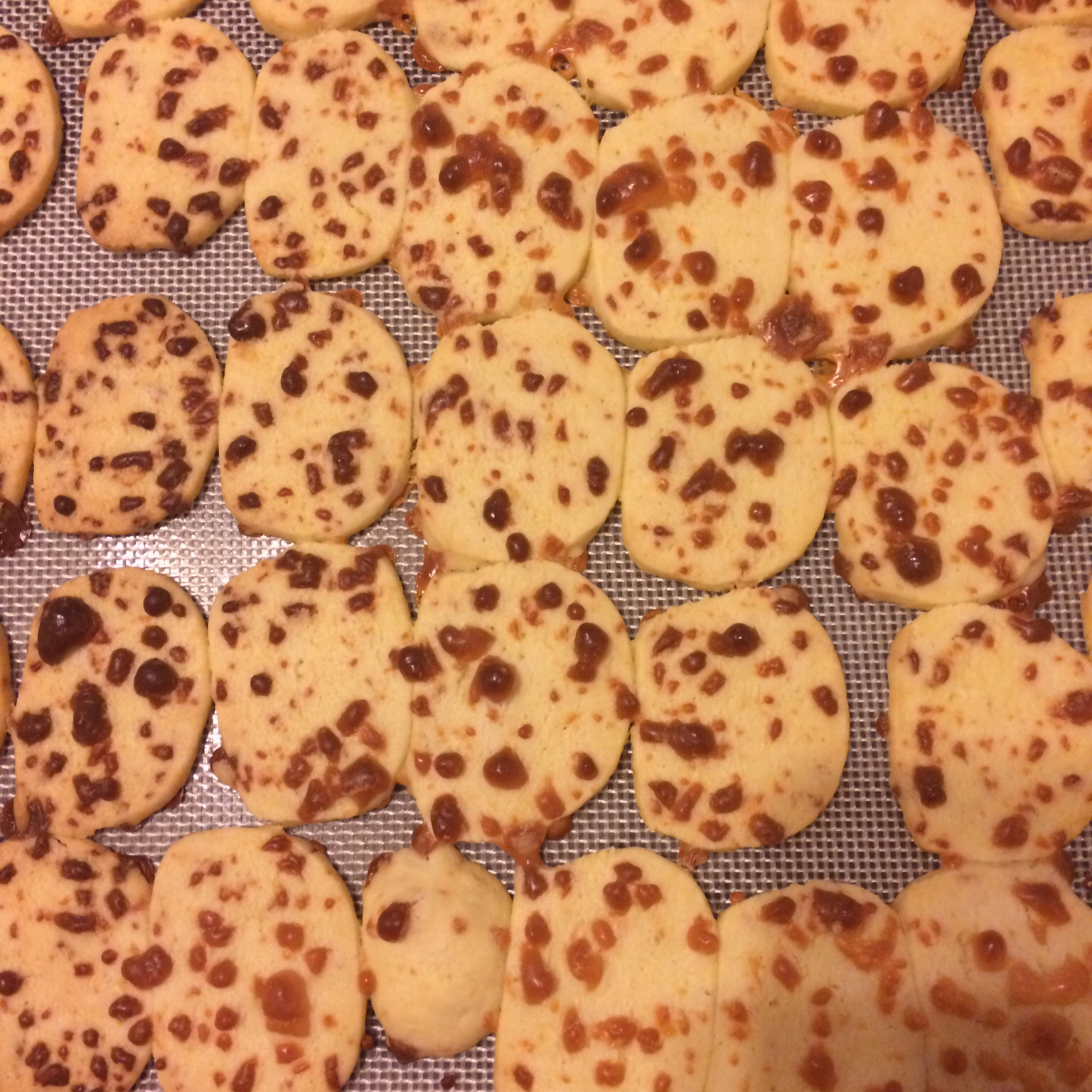 马苏里拉芝士咸味饼干