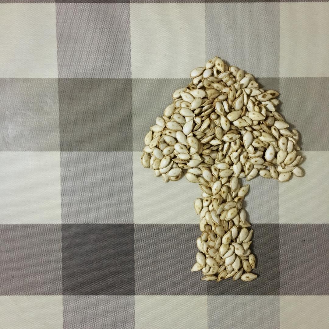 原味炒南瓜子