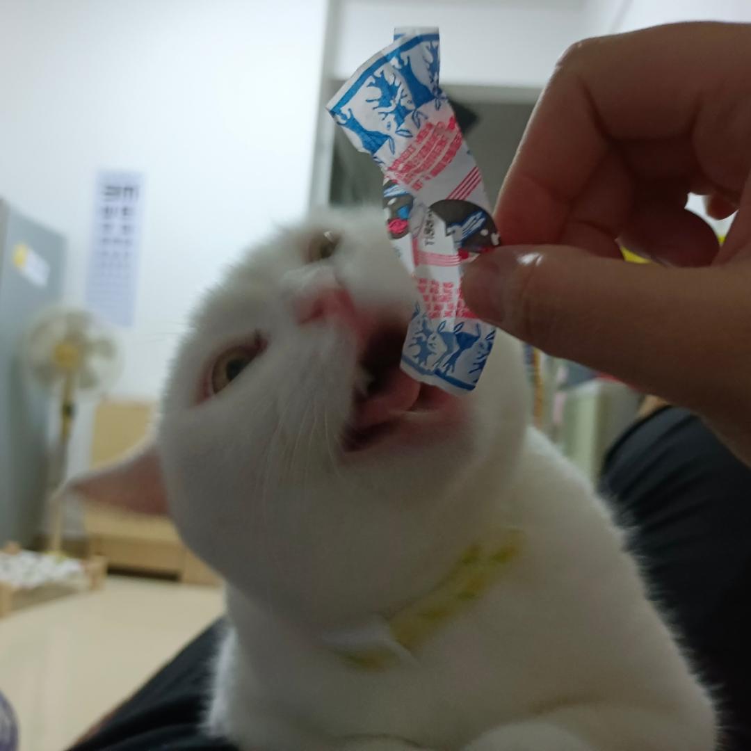 下厨房用户_c3gya