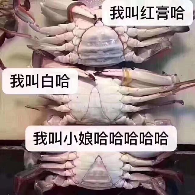 白蟹炒年糕