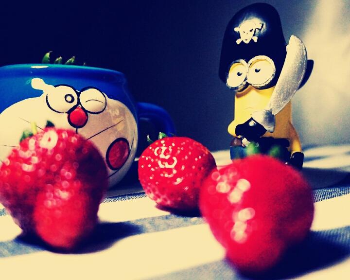 盆栽草莓🍓酸奶