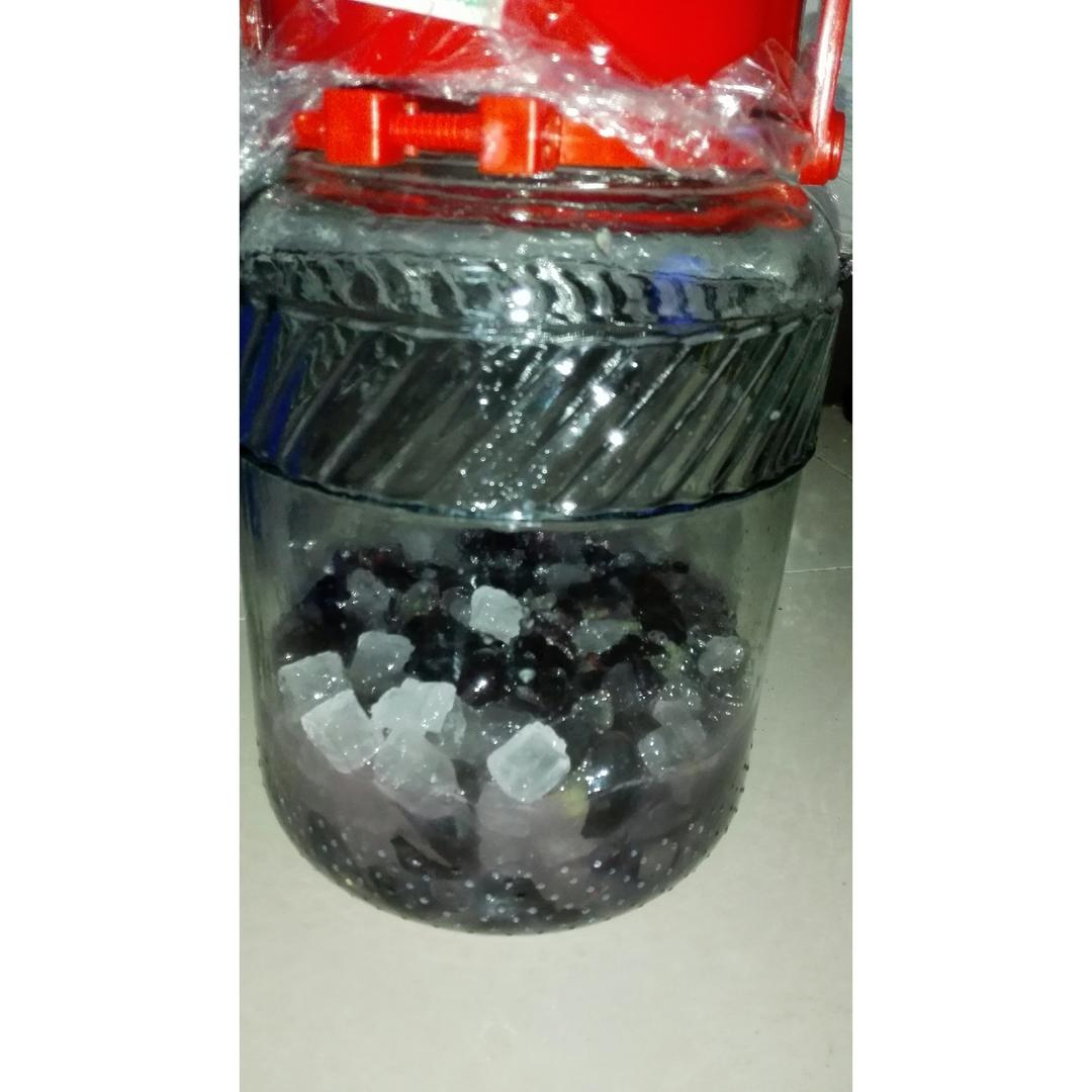红酒-葡萄酒快速酿制
