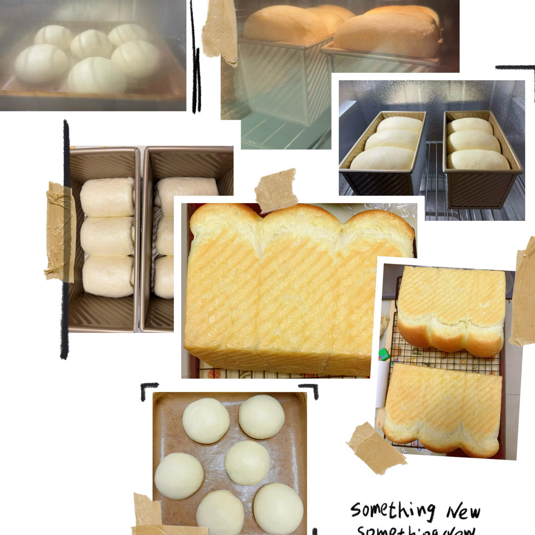 烫种鲜奶吐司