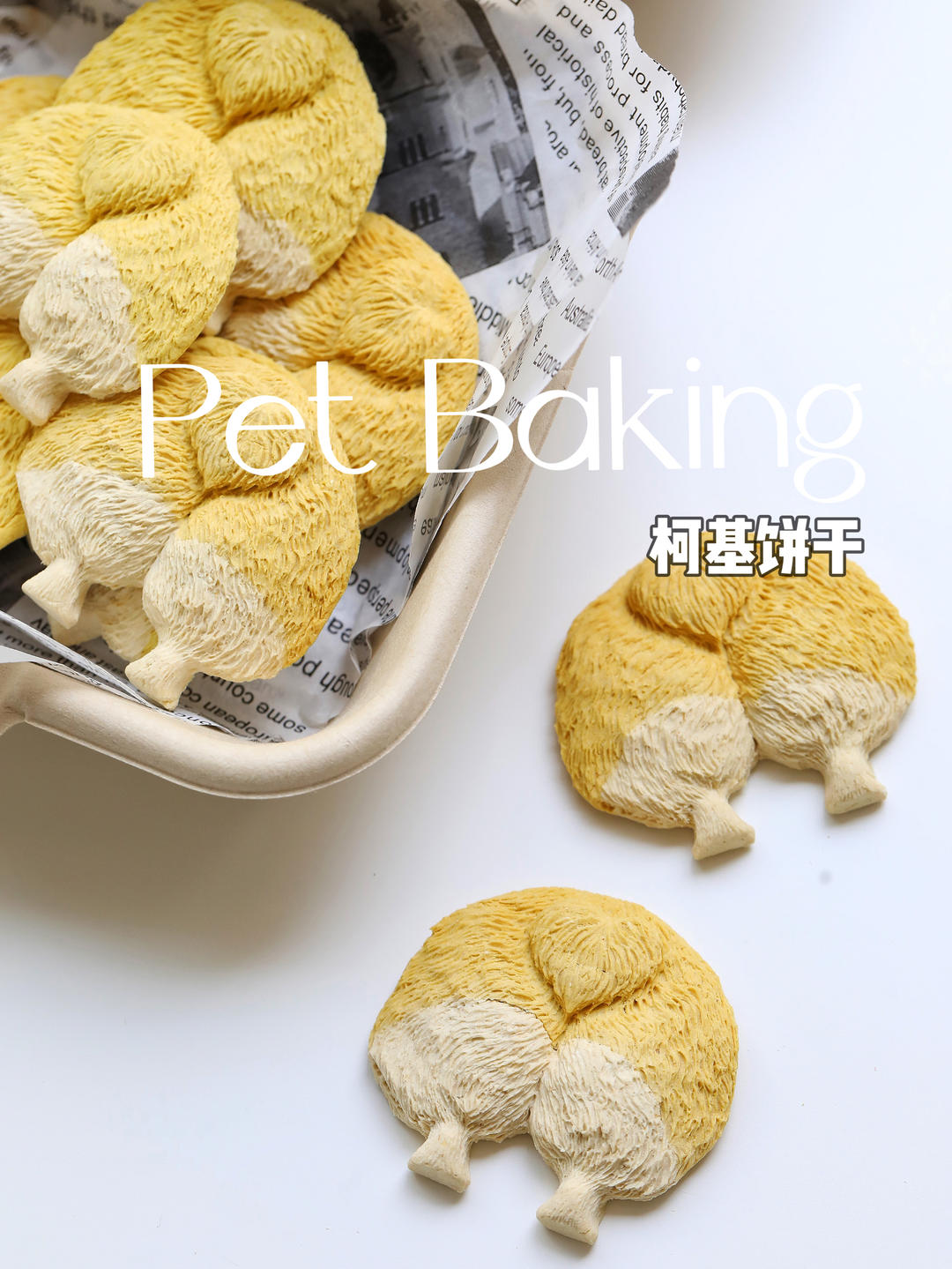 柯基屁屁饼干｜自制宠物零食