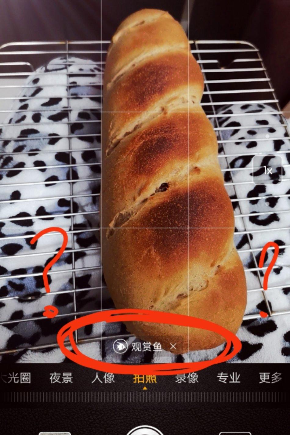 全麦坚果软欧