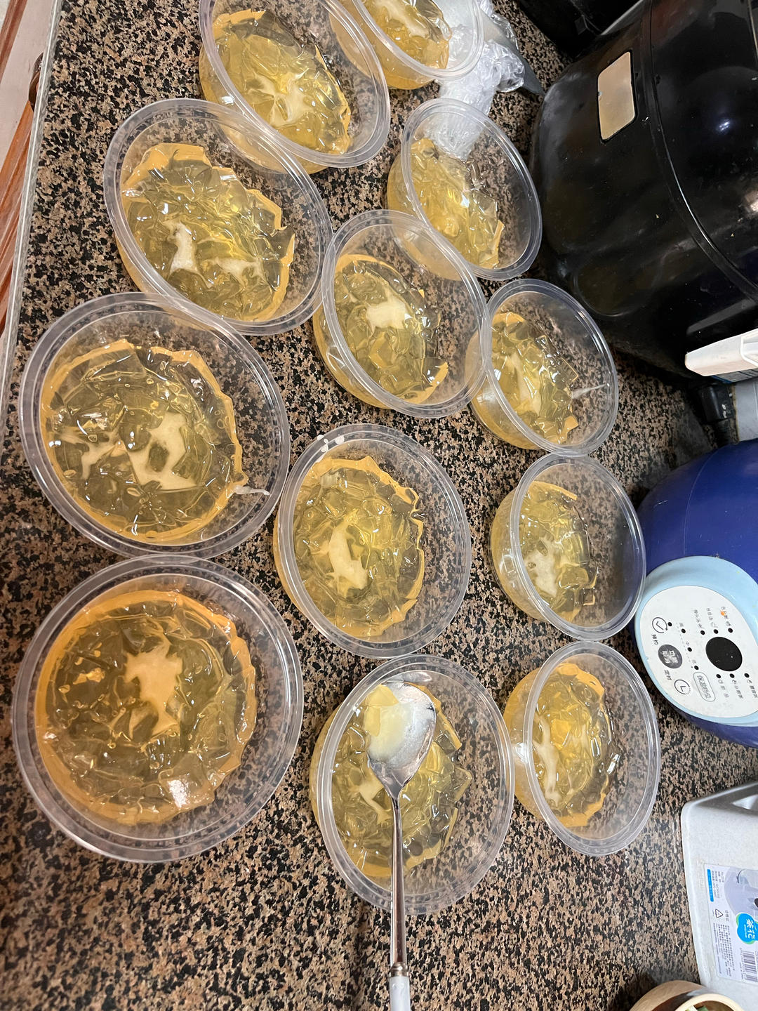海底椰菊花雪梨膏(清热解毒)