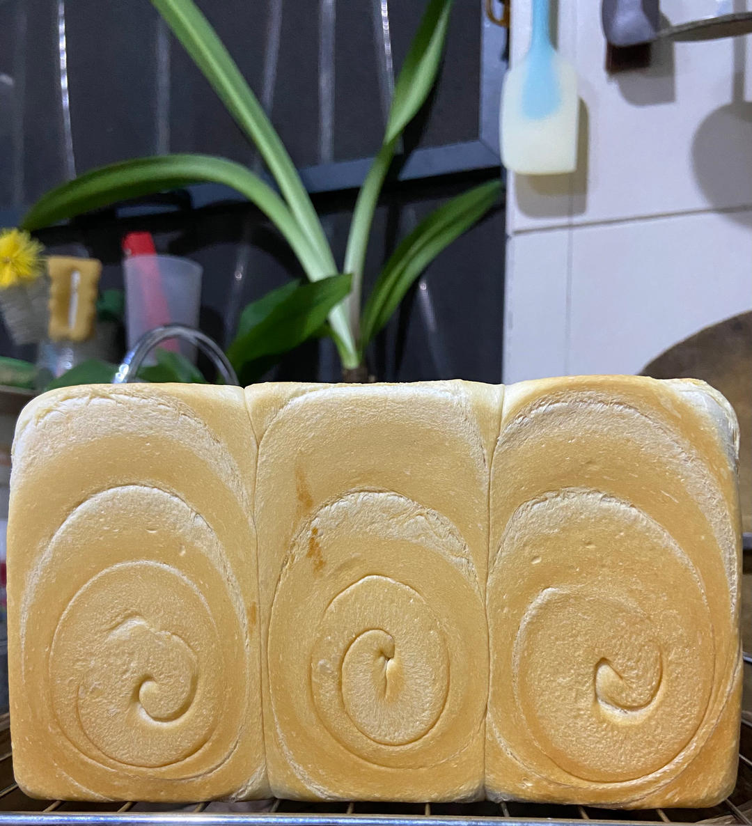 升级版奶香手撕吐司