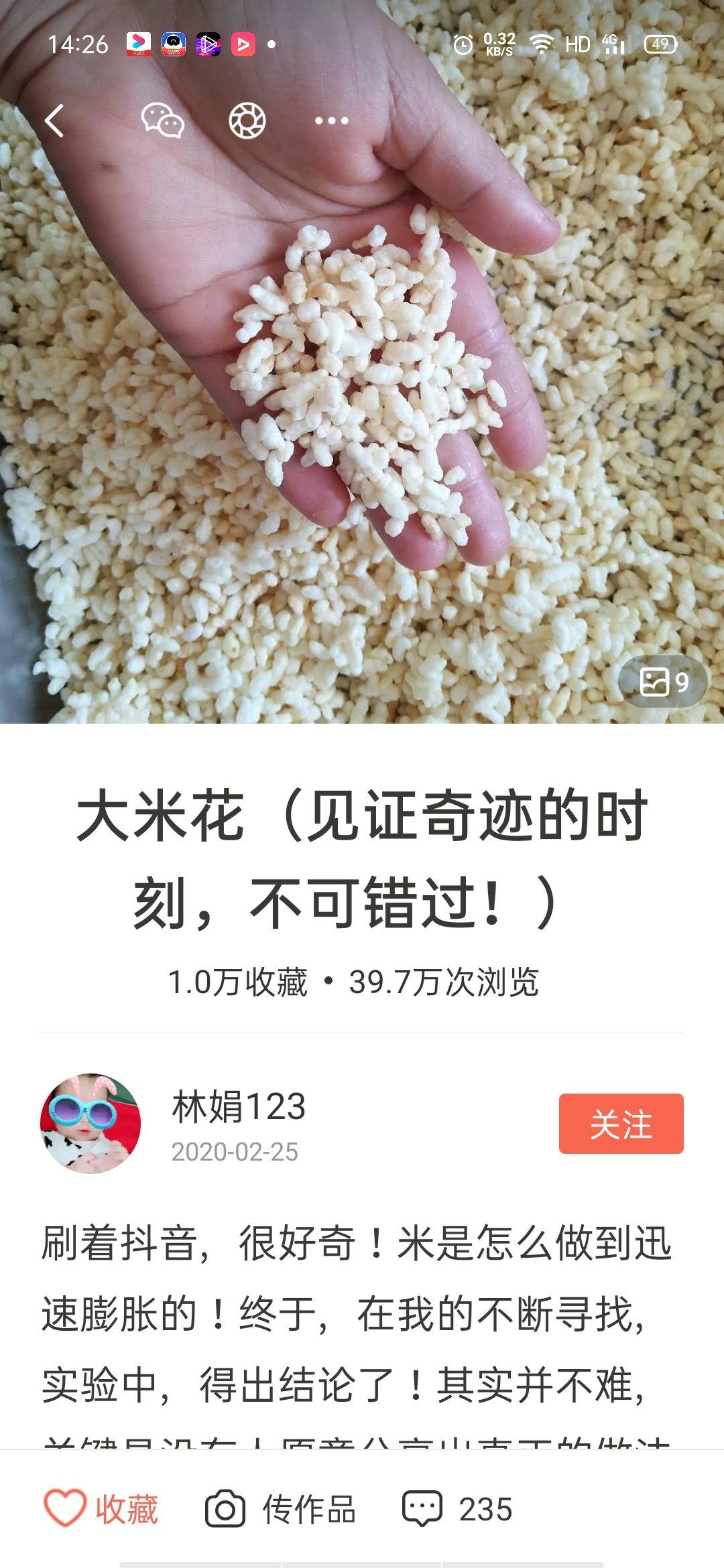 大米花（见证奇迹的时刻，不可错过！）