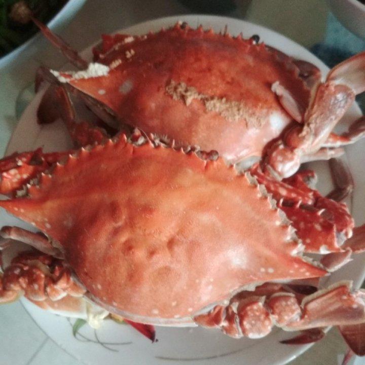 清蒸海蟹