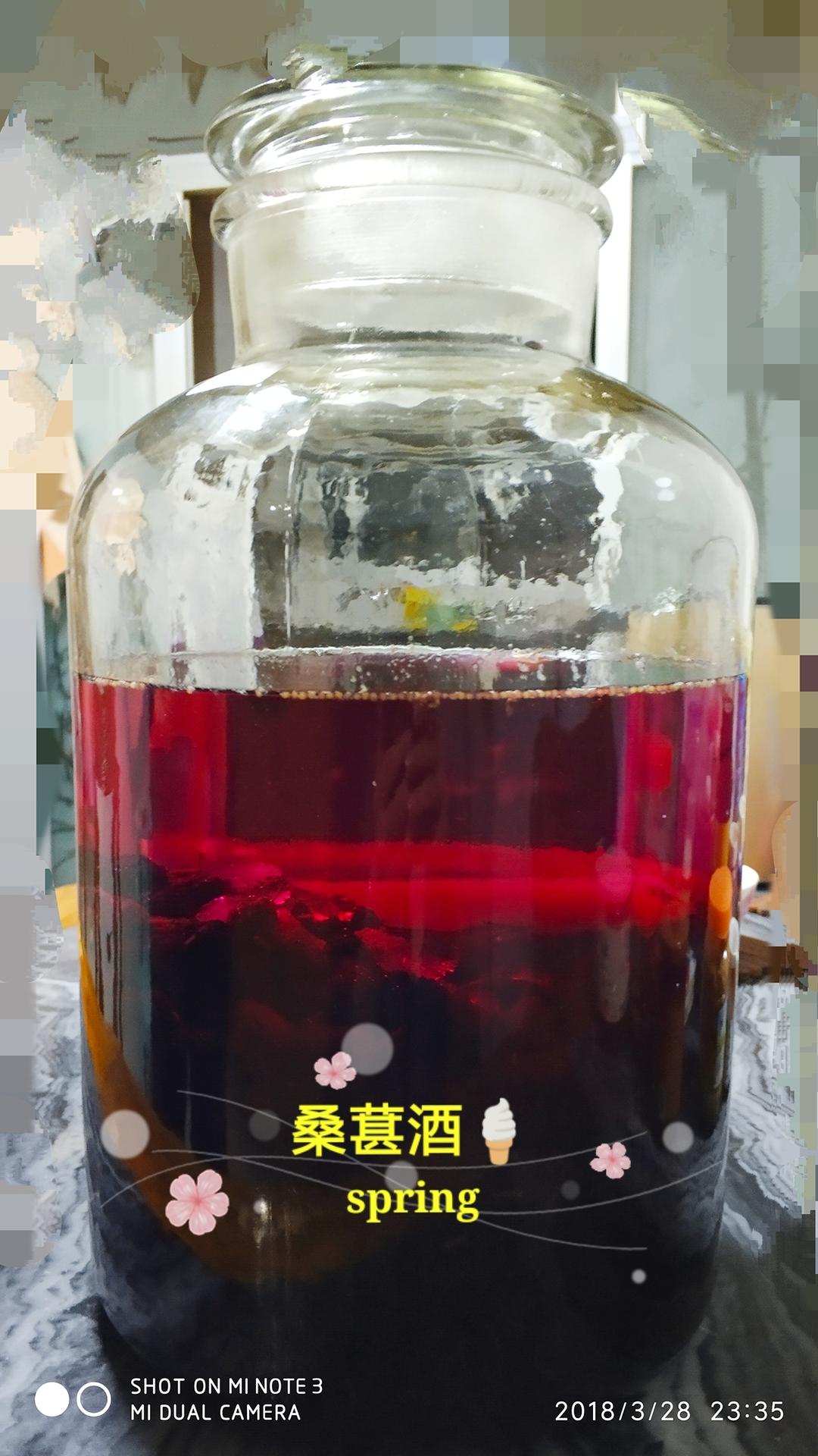 泡桑葚酒（熬酱法）的做法