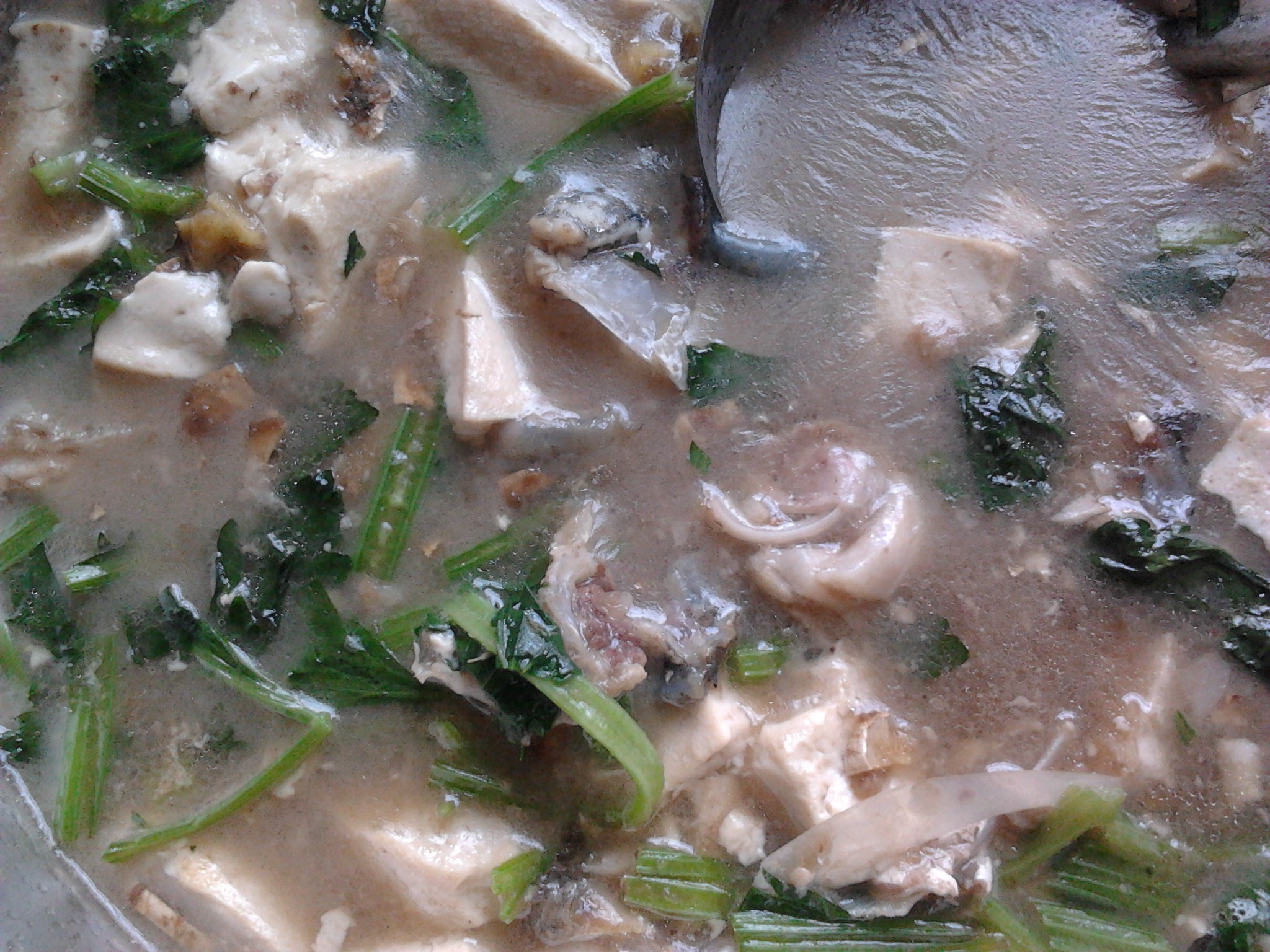 鱼头豆腐汤