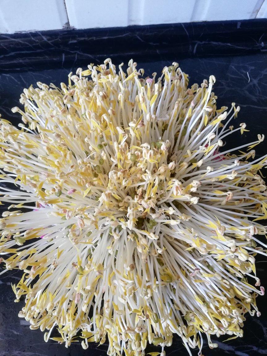 绿豆芽自制的健康