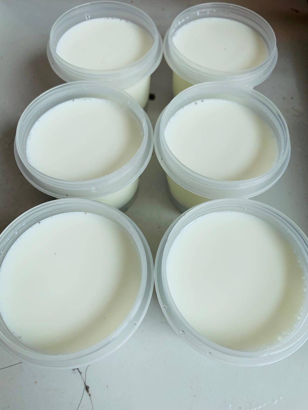 完美牛奶布丁（吉利丁片版）