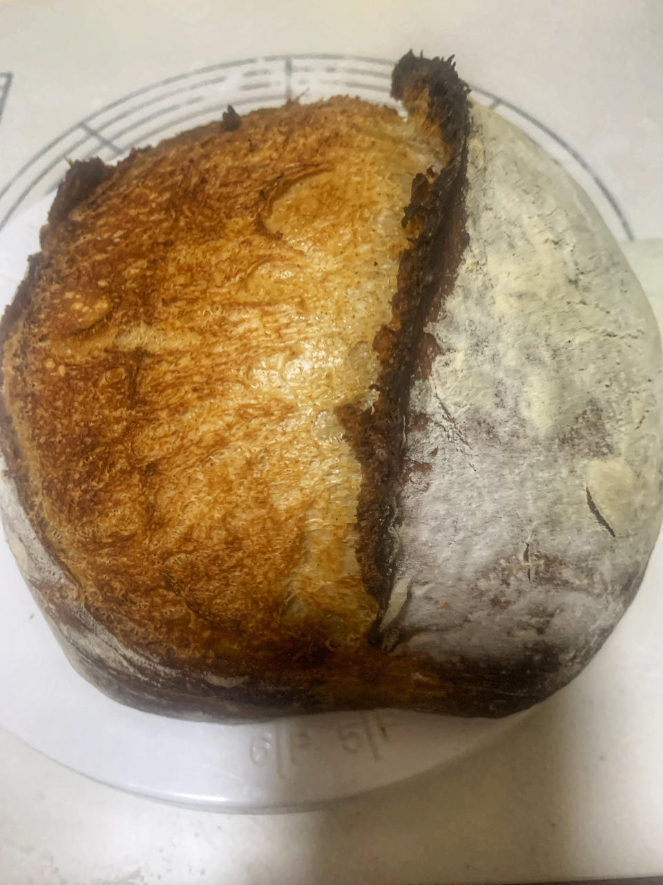 如何制作气孔开放的基础款欧包