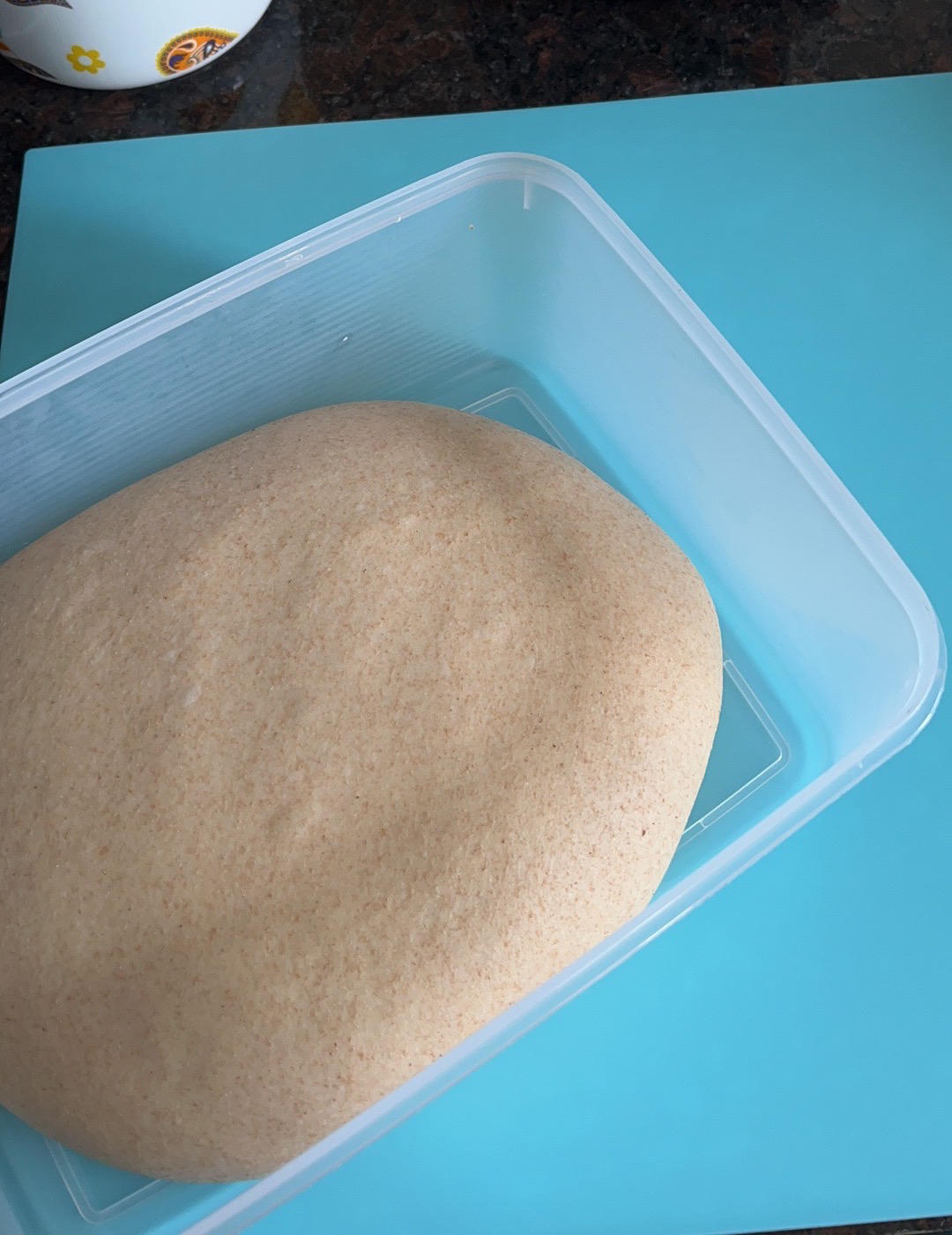 口感非常好的50%全麦主食餐包