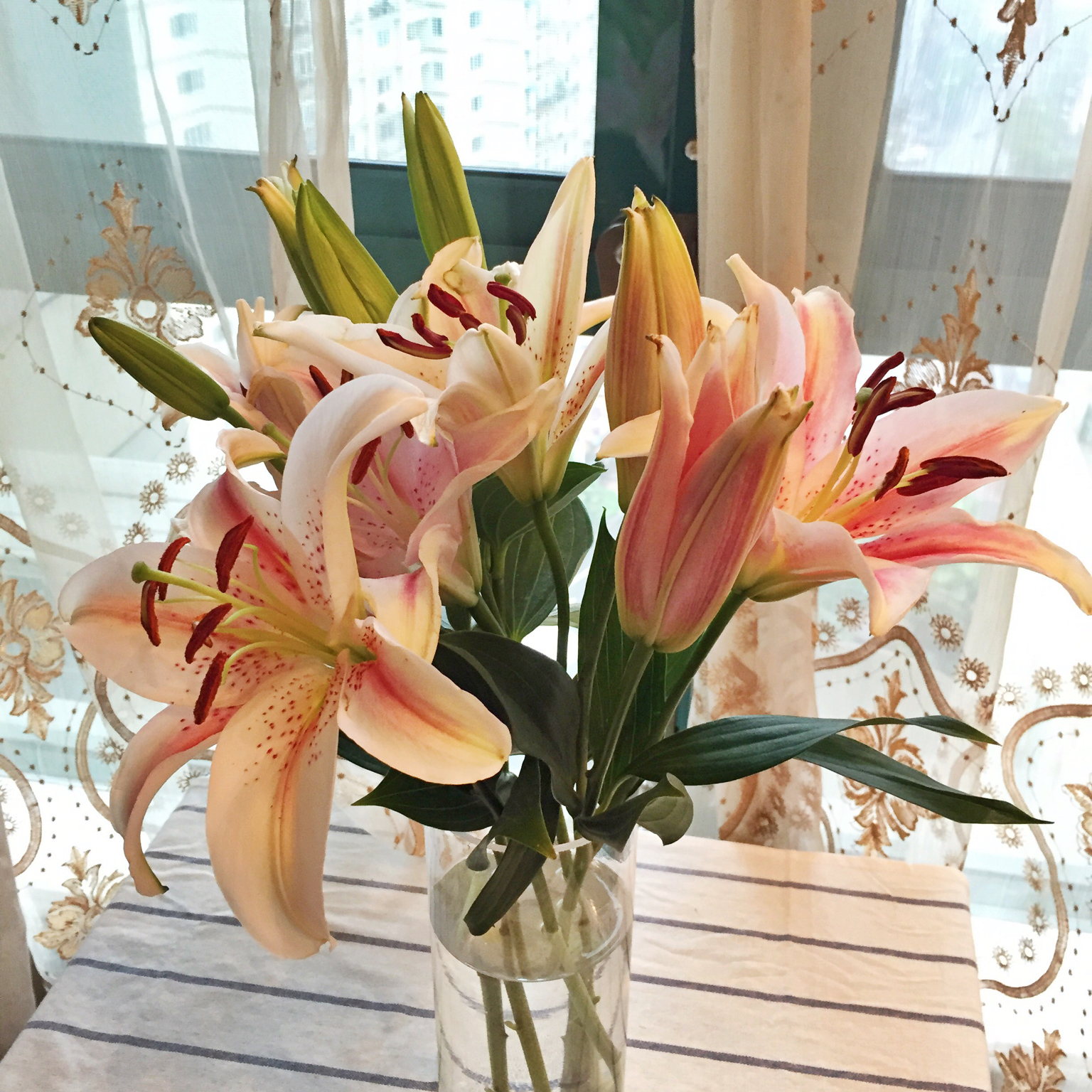 blue star少女杂货铺