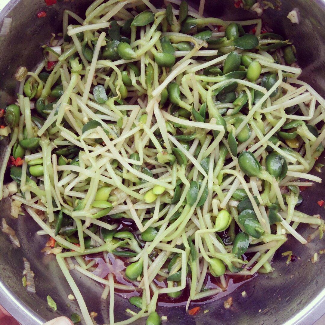 炝拌黑豆芽