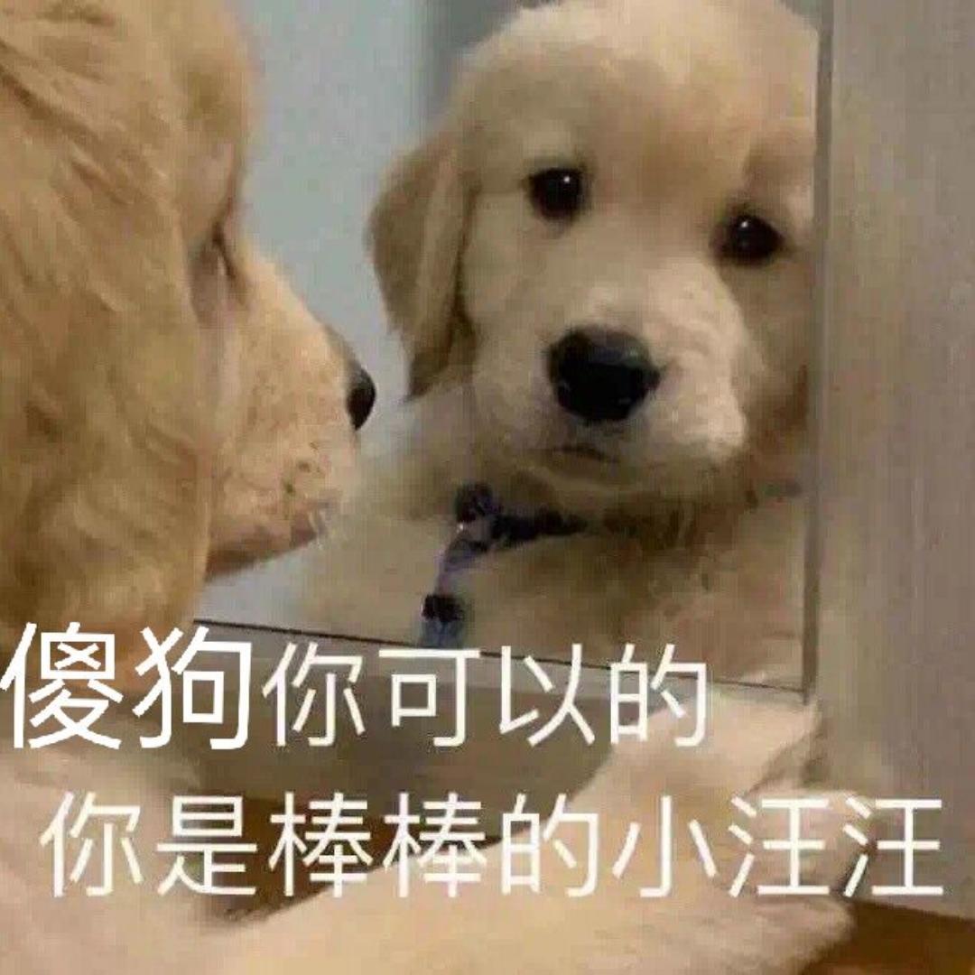 团团的日常