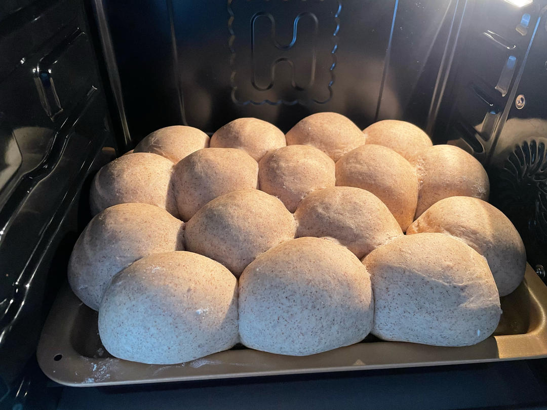 波兰种全麦面包🍞