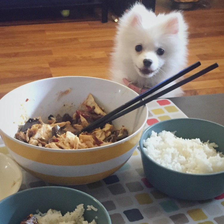 烧茄子