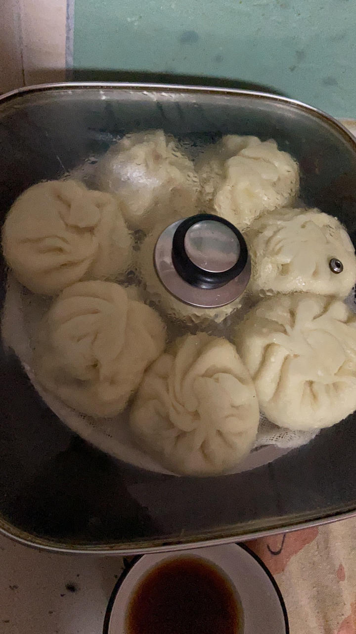 猪肉包子（附视频。一次性发酵。）