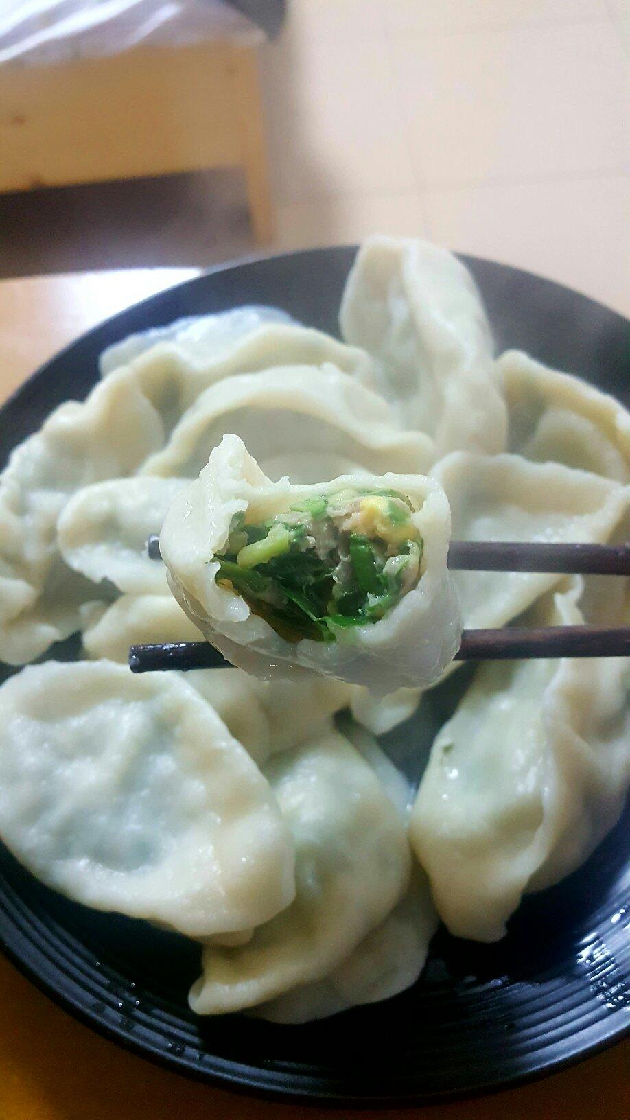 韭菜鸡蛋肉饺（自制饺子皮-面包机）的做法 步骤10