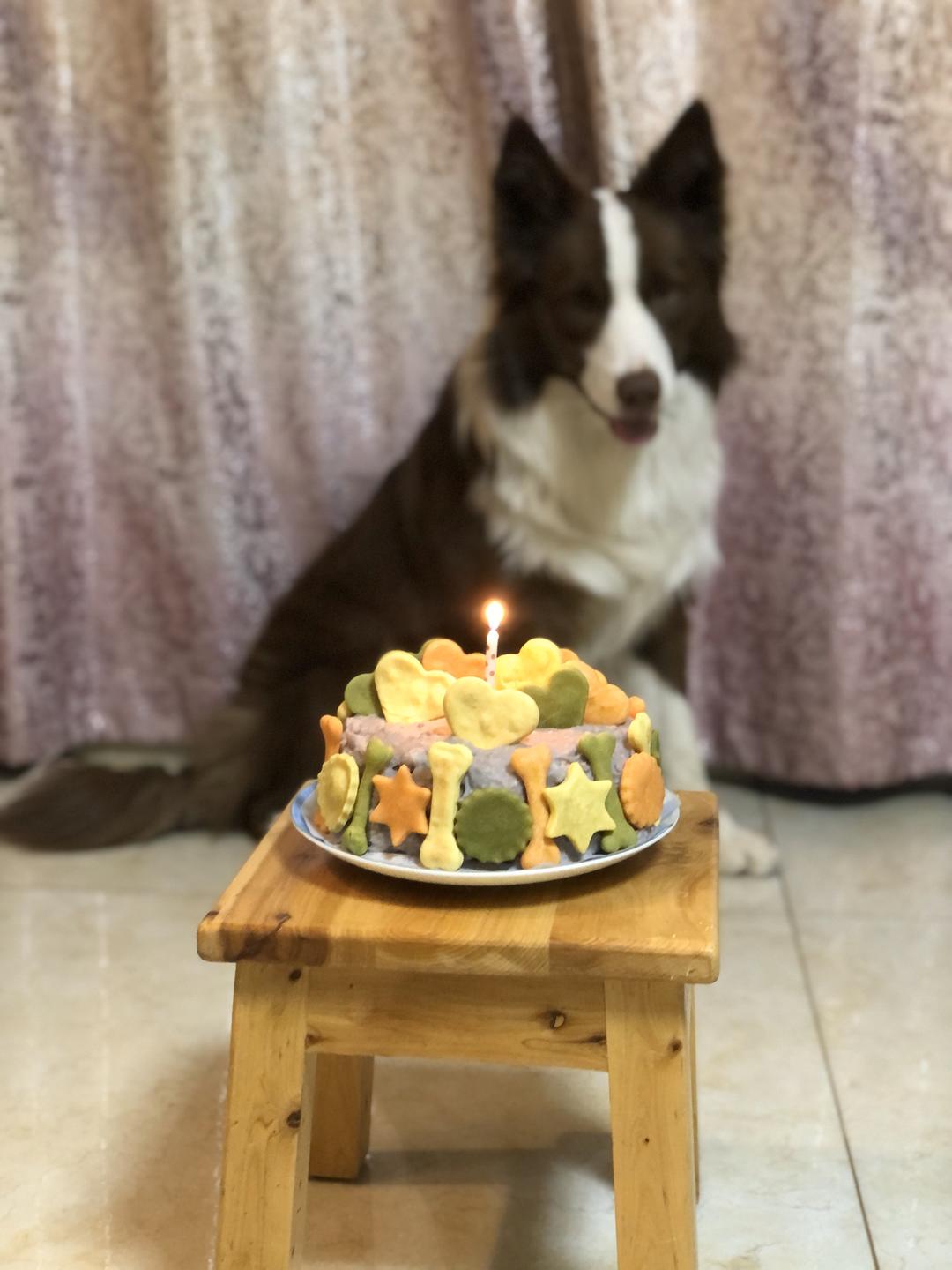 狗狗的生日蛋糕🎂的做法 步骤8