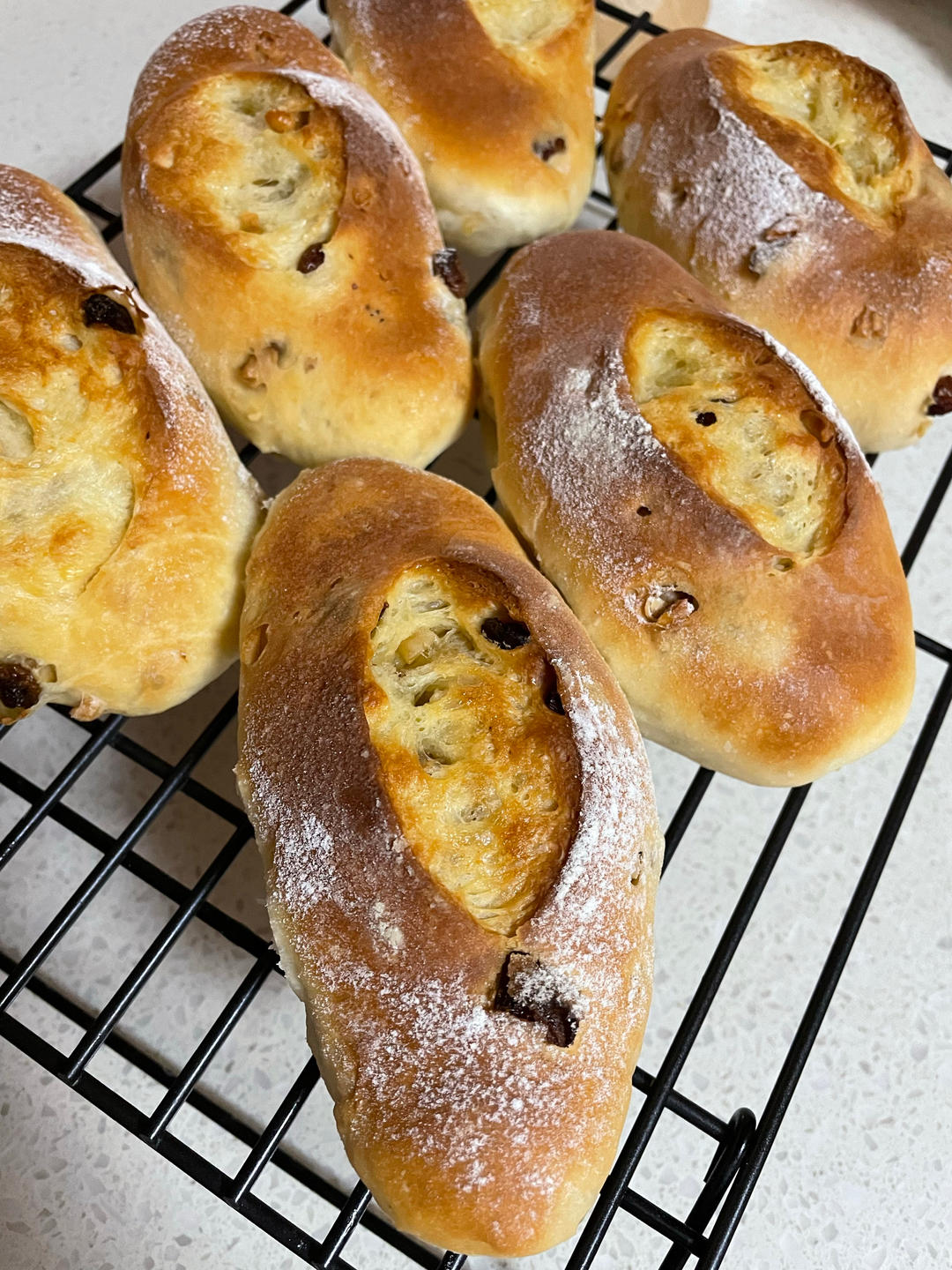 葡萄干核桃软欧包