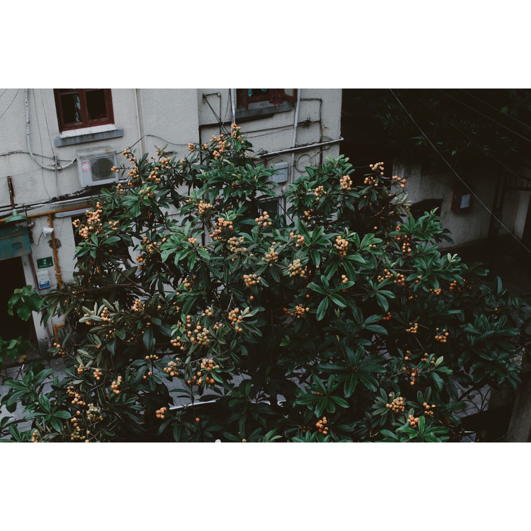 BIUBIU的混乱生活