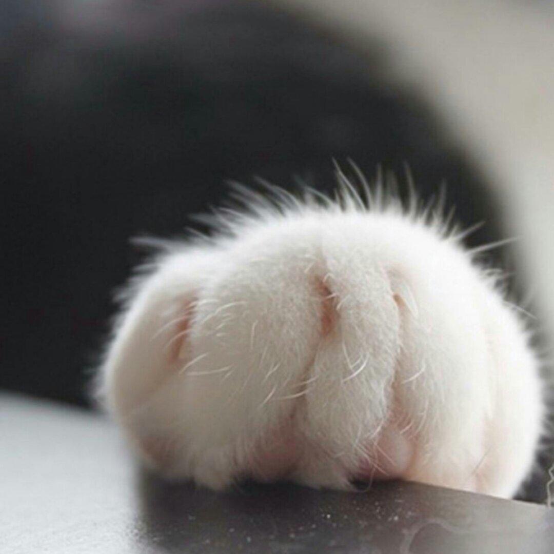 林晓雯