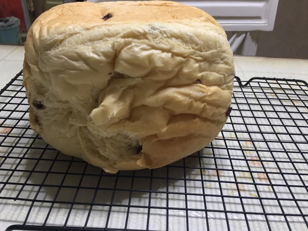 新手入门必做——面包机版葡萄干酸奶吐司