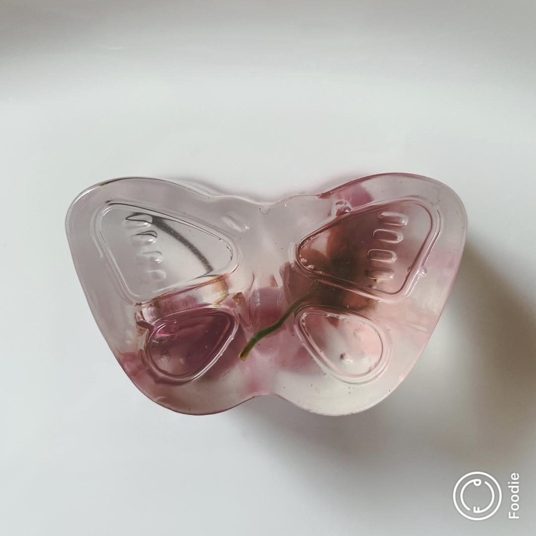 🍉夏日白凉粉果冻