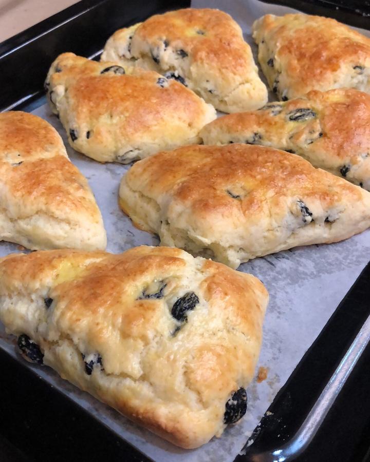 葡萄干司康（酵母版）