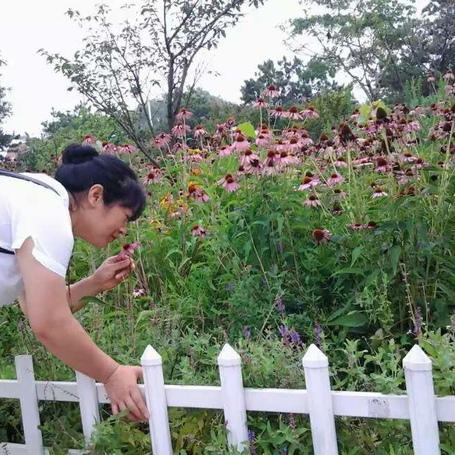 手机用户3020_9wg7