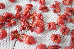百里香油浸整颗干番茄（意面沙拉好伴侣）【北鼎烤箱食谱】的做法 步骤3