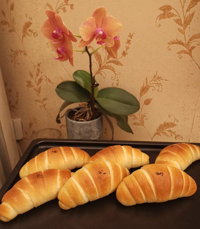 硬质海盐卷 60g一个/10个量