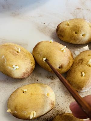 骗纸土豆🥔（玉米面馒头）的做法 步骤12