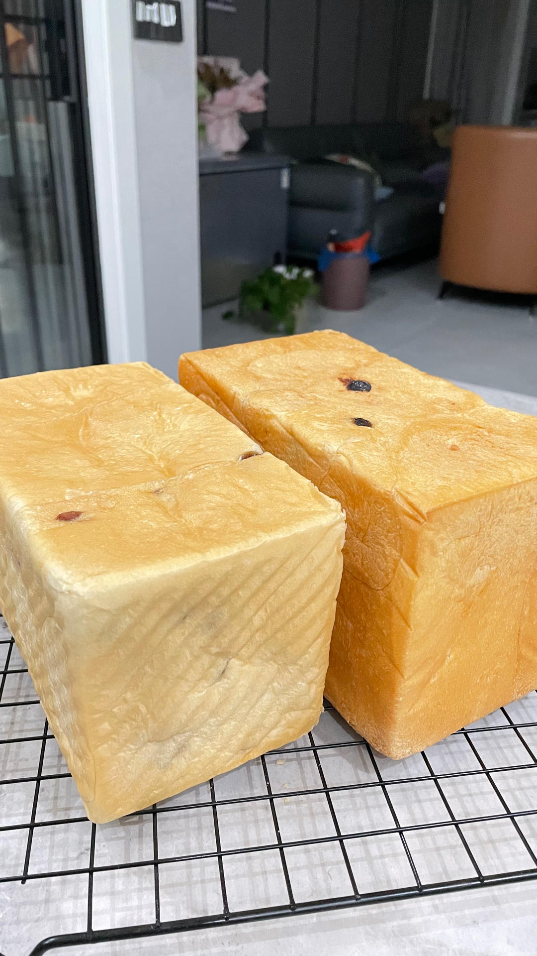 波兰种牛奶吐司