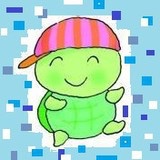 二辉橄榄岩